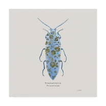 Trademark Fine Art 'Adorning Coleoptera VIII Sq Blue' Canvas Art by James Wiens