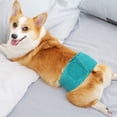 thumbnail image 5 of Pañales para perros machos, reutilizables, absorbentes, para perros machos, bandas para el vientre, lavables, banda absorbente para el vientre (L, 2 unidades de color verde), 5 of 5