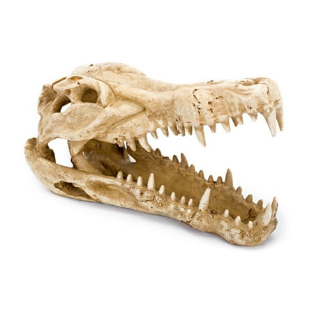 UPC: 0030172077395 | Penn Plax Crocodile Skull Aquarium Ornament