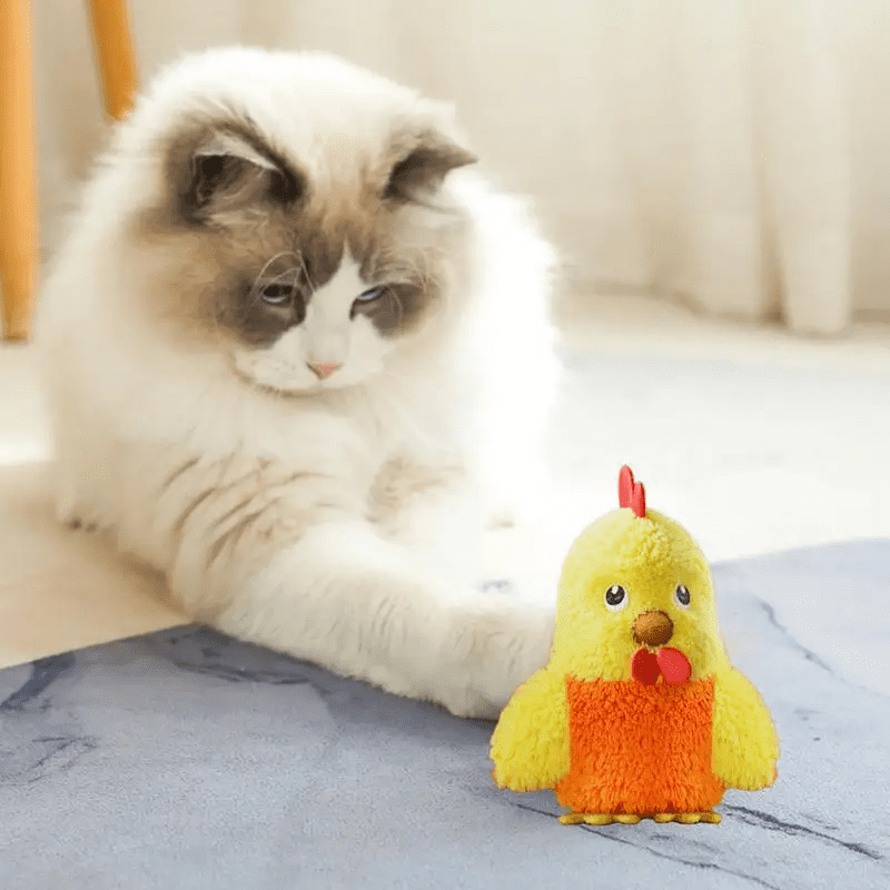 Popular Electric Chattering Bird Cat Toy Small Bird Sound Simulation Toy Cat Play Self-Hi Cat Teaser Play with cat