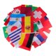 thumbnail image 5 of Bandera nacional de poliéster Banderas de cadena ligeras para decoración de bares (30 * 45 cm) Likrtyny Para estrenar, 5 of 6