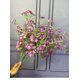 thumbnail image 4 of Xiao Hua 3 flores artificiales de jazmín de noche, flores falsas, flores artificiales para decoración de bodas, 4 of 4