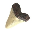 thumbnail image 2 of fastboy Craftsmanship Home Deco Decoration For Vintage Home Environmentally Friendly And Durable, 2 of 6