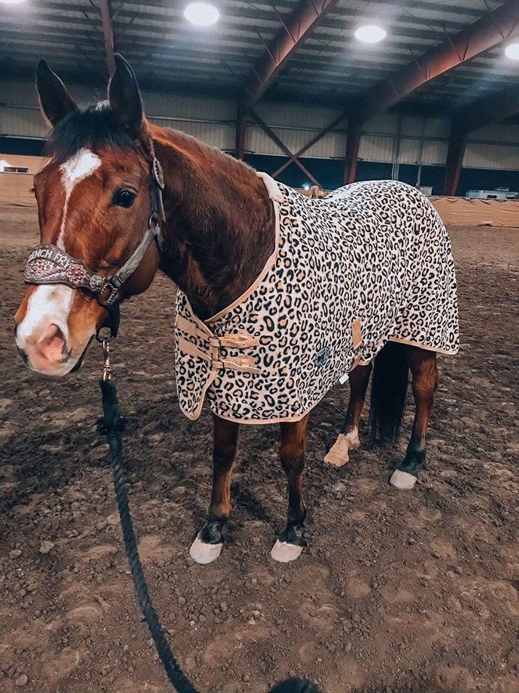 Jeffers Expression "Electric Cheetah" Fleece Horse Cooler
