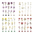 thumbnail image 1 of Embossed theme Sticker Set Dried Flower Resin Sticker Scrapbook Supplies Flower Plant magazine sticker 320pcs, 1 of 5