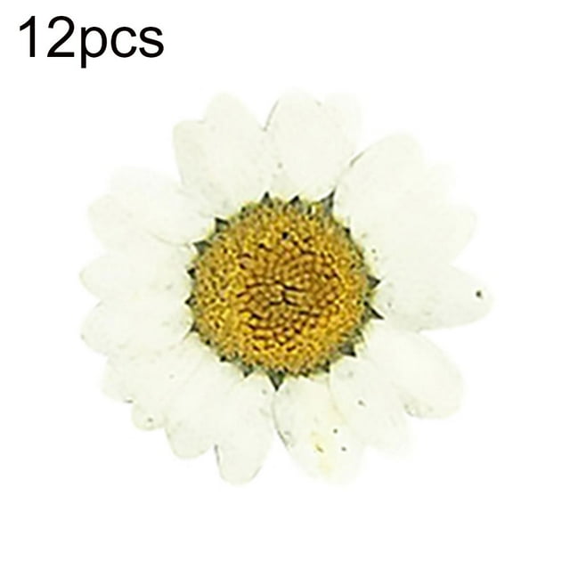 Flmtop 12Pcs Pressed Dried Natural Flower Epoxy Resin Nail Craft DIY Phone Decoration