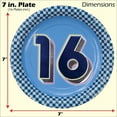thumbnail image 2 of Havercamp Boys 16th Birthday Deluxe Party Pack for 16 Guests! Includes 16 ea. Dinner Plates, Side Plates, Luncheon Napkins & Beverage Napkins and 24 Party/Food Picks., 2 of 8