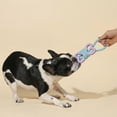 thumbnail image 3 of Oodles Durable Rubber Bone Wrapped Rope Dog Toy Set, Blue and Purple, Small, 3 of 8