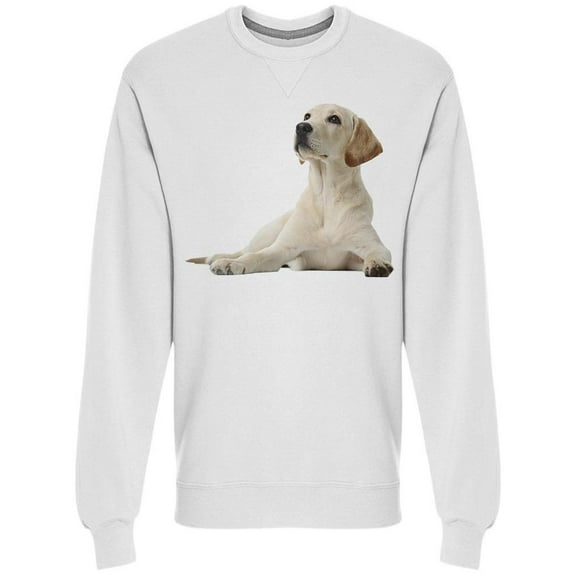 Labrador Retriever Lying Sweatshirt Men -Image by Shutterstock, Male Large