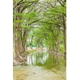 thumbnail image 2 of Wilson, Emily M. 11x14 White Modern Wood Framed Museum Art Print Titled - Waring-Texas-USA-Trees along the Guadalupe River in the Texas Hill Country, 2 of 4