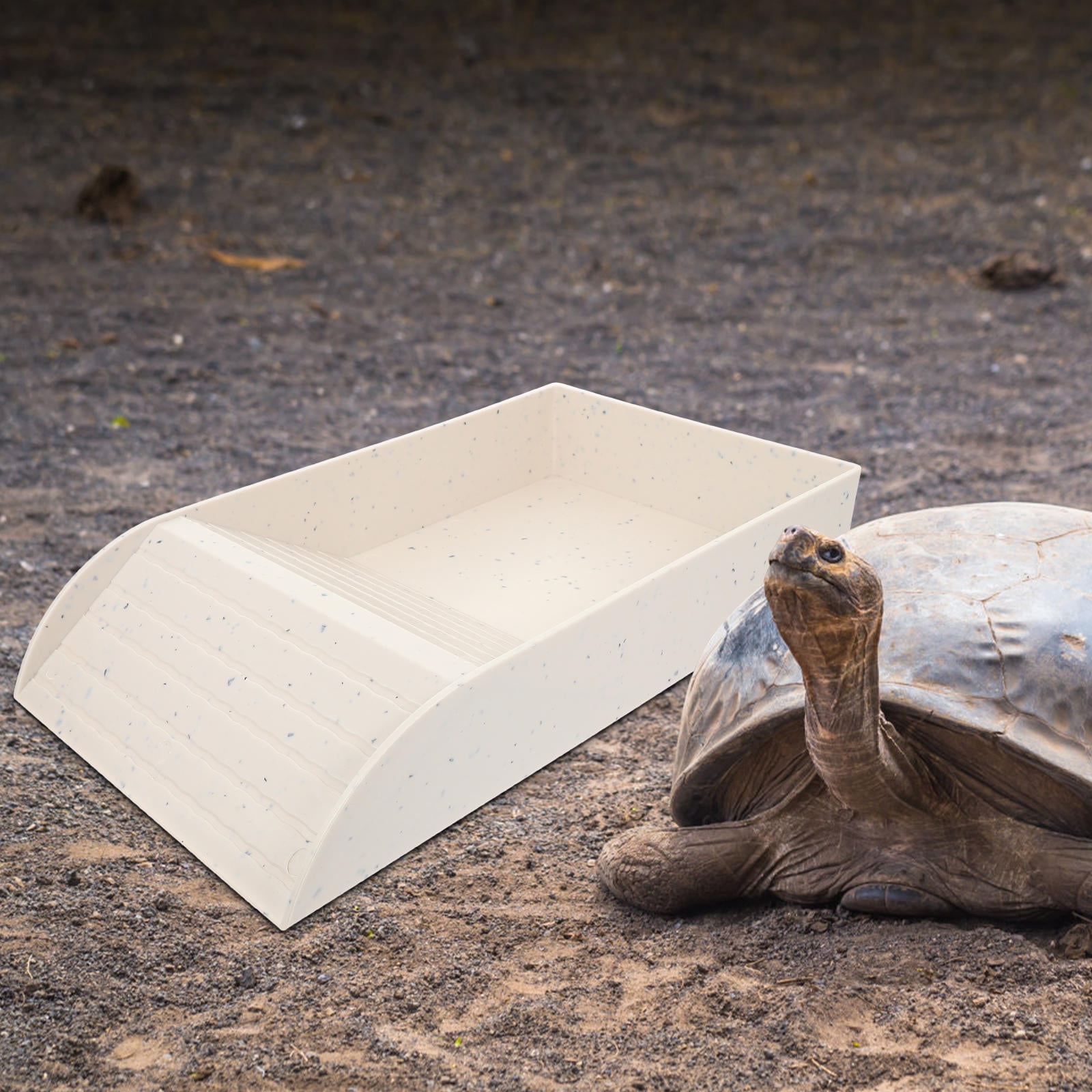 Amosfun Multi Purpose Plastic Turtle Dock Platform Light Grey for Aquarium Decoration and Feeding
