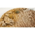 thumbnail image 4 of Deserts of Maahl Rond 100mm (x1), 4 of 4