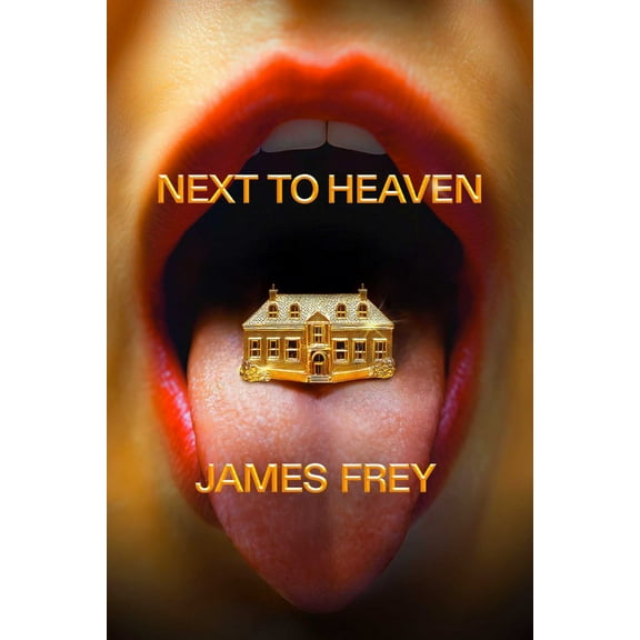Next to Heaven: A Novel (Hardcover)