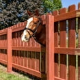 thumbnail image 5 of Peeping Animal Metal Garden Decor:Full Color Fence Decoration Outdoor,Funny Garden Ornaments,Farm Animal Metal Yard Art for Fence,Yard,Farmhouse (Horse), 5 of 13
