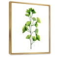 thumbnail image 3 of Designart 'Green Field Plant Foliage Branch' Farmhouse Framed Canvas Wall Art Print, 3 of 5