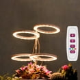 thumbnail image 2 of 1/2/3/4 Ring Small Plant Halo Grow Light with 8/12/16H Timer for Desk,Full Spectrum LEDs USB Mini Dimmable Grow Light for Indoor Umbrella Plant Seeds herb Growth(3 Rings), 2 of 8