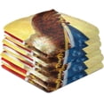 thumbnail image 6 of Vintage American Flag Eagle Tea Towels Set of 1 Retro 4th of July Kitchen Dish Cloth with Hanging Loop, 18"x28"Lint-Free Absorbent Towel for Kitchen Drying Wiping and Cleaning, 6 of 6