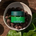 thumbnail image 3 of Crema de noche Weleda Skin Food Face Care 40 ml con aceite de Sacha Inchi, 3 of 6