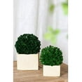 thumbnail image 2 of Faux Boxwood Boxed Topiary, Medium-Color:Green,Style:Botanical, 2 of 6