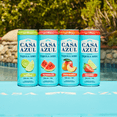 thumbnail image 2 of Casa Azul Tequila Soda Variety, 8 Pack, 12 oz Cans 5% ABV, 2 of 5