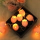 thumbnail image 1 of Lámpara de Navidad String de Led, String de Huevos de Pascua, Huevos de Luz de String, Decoración de Festivo, Caja de Batería, Luz Caliente, String de Luz Rota, String de Hogar, String de, 1 of 9