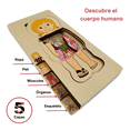 thumbnail image 2 of Juego de mesa rompecabezas cuerpo humano de madera 5 capas: ¡Aprende jugando!. niño y niña, 2 of 8