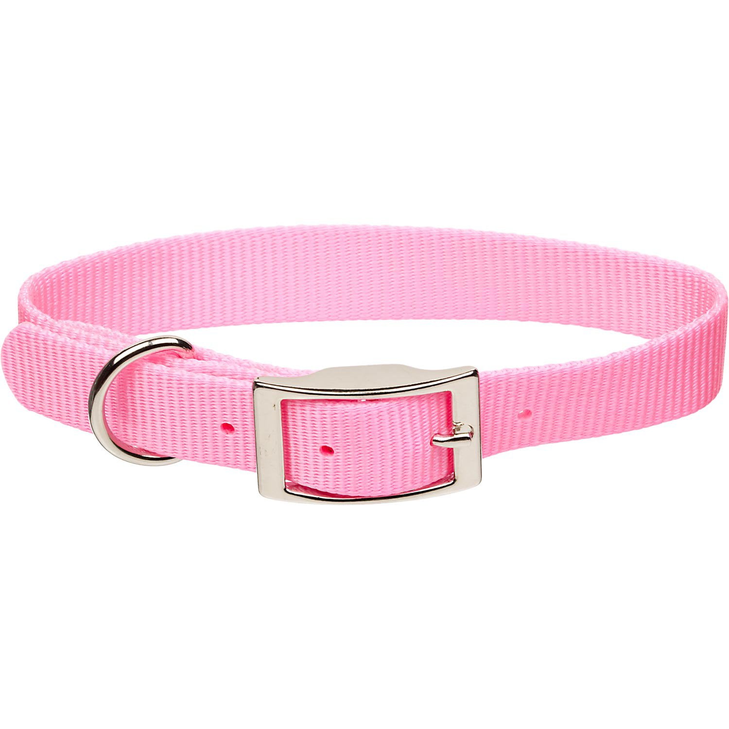 bond & co rope leash