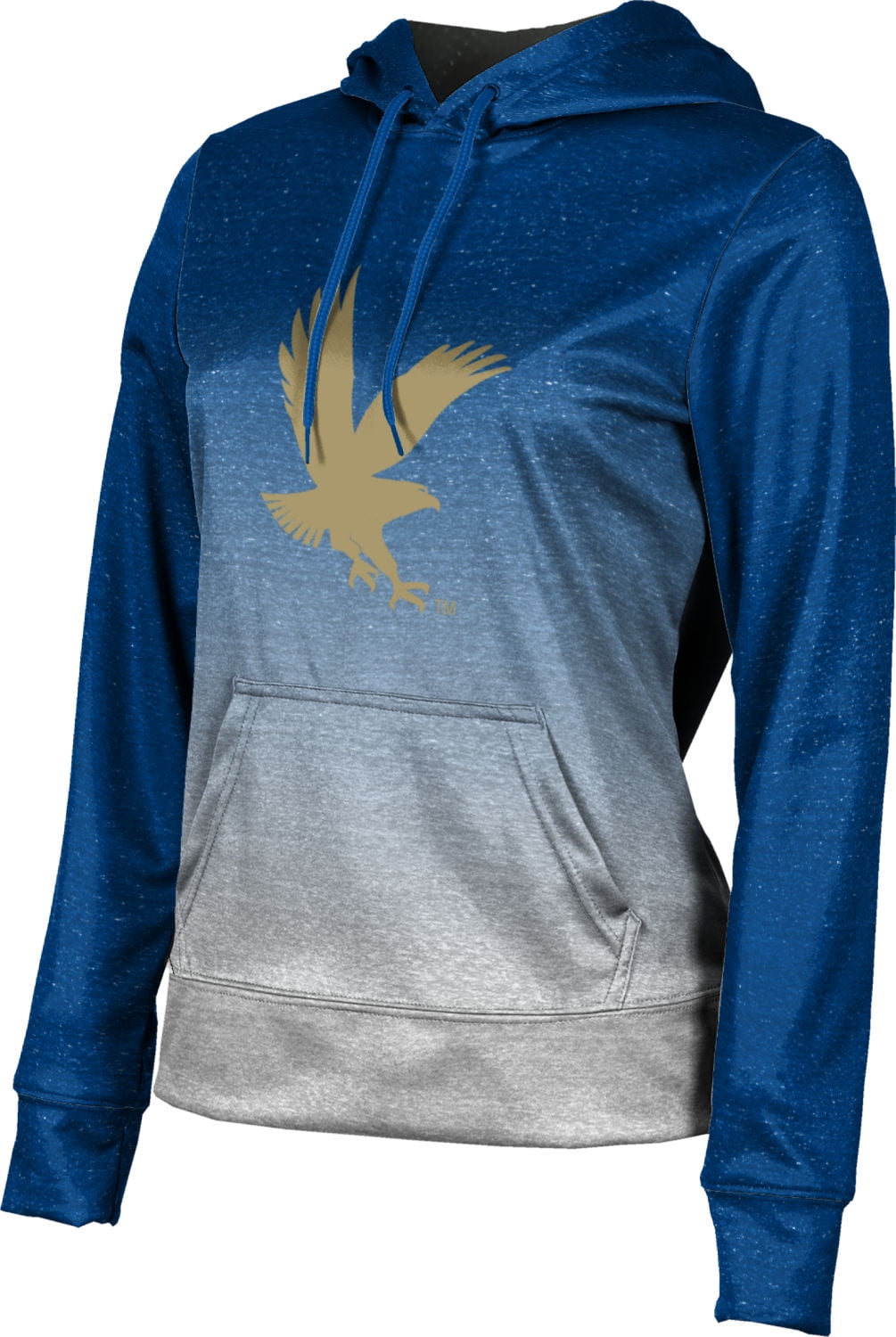 embry riddle hoodie