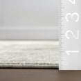 thumbnail image 2 of nuLOOM Gwynne Medallion Fringe Area Rug, 2' x 8', Runner, Gwynne Light Beige, 2 of 9