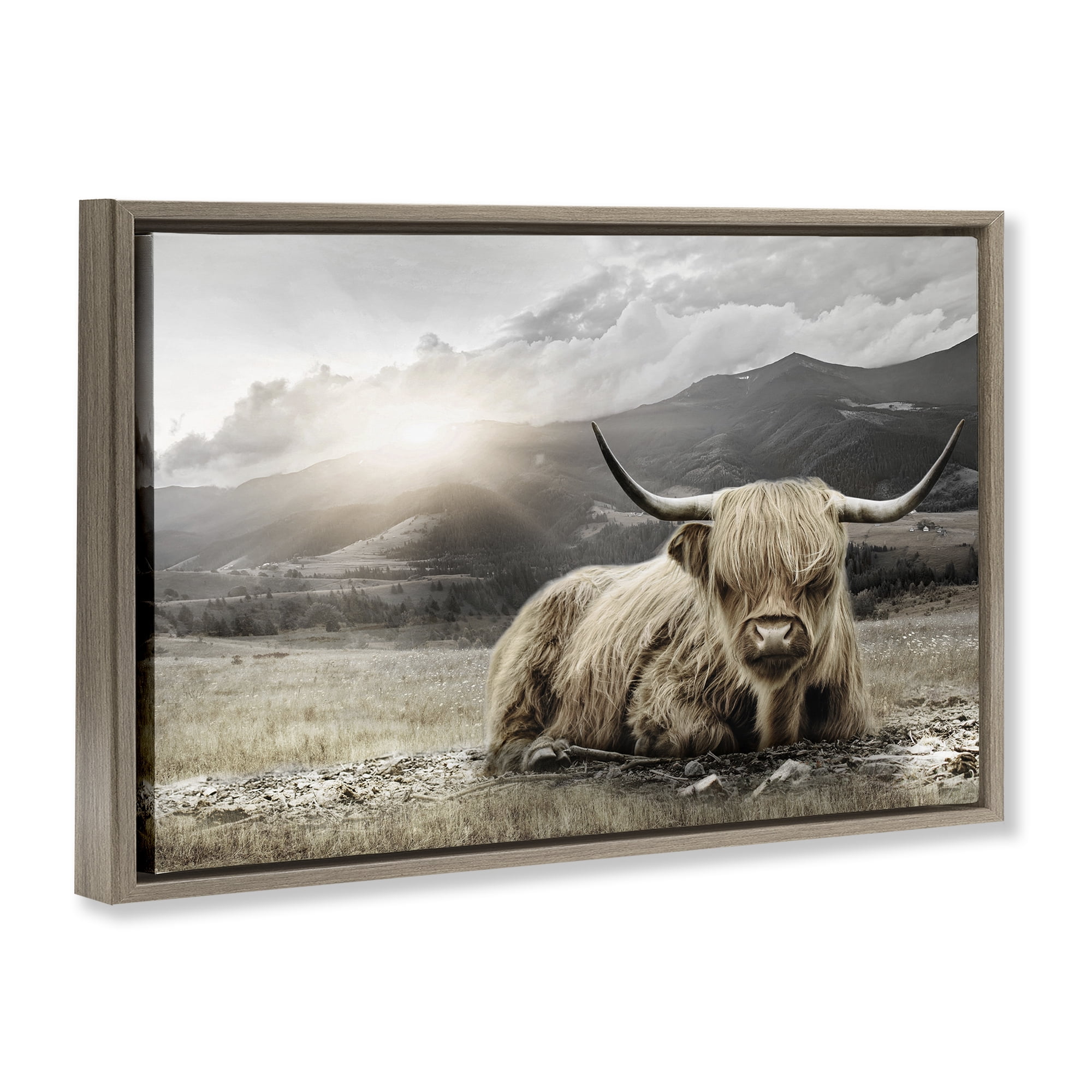 Stupell Industries Cattle Resting in Morning Sun Brown Framed Floater Canvas Wall Art, design by CAD Designs