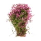 thumbnail image 2 of 4 Tren modelo Algas acuáticas Plantas acuáticas Césped Diseño de paisaje Paisaje Fucsia, 2 of 7