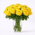 thumbnail image 3 of Two Dozen Yellow Roses- Beautiful Fresh Cut Flowers- Express Delivery, 3 of 6