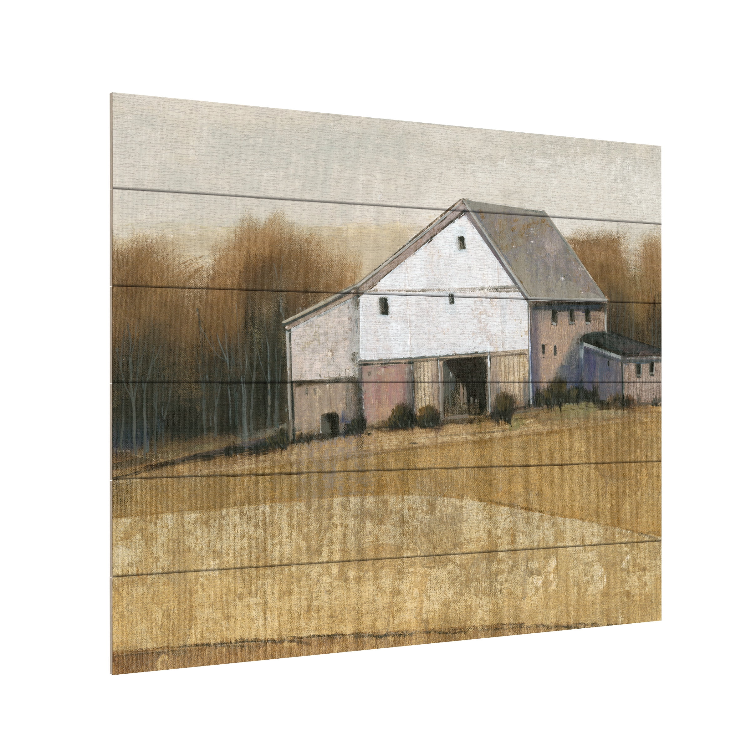 Tim O'Toole 'White Barn View I' Wood Slat Art 18x22
