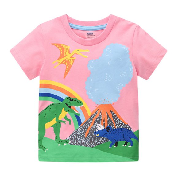 Akiihool Girls Summer Clothes Girls Western Shirt Cowgirls Embroidered Country Concert T Shirt Graphic Horseback Rider Tassel Fringe Tee Tops (Pink,5-6 Years)