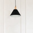 thumbnail image 3 of HINTRMENT Metal Bulb Guard Shade Iron Black for Kitchen 1Pcs, 3 of 8