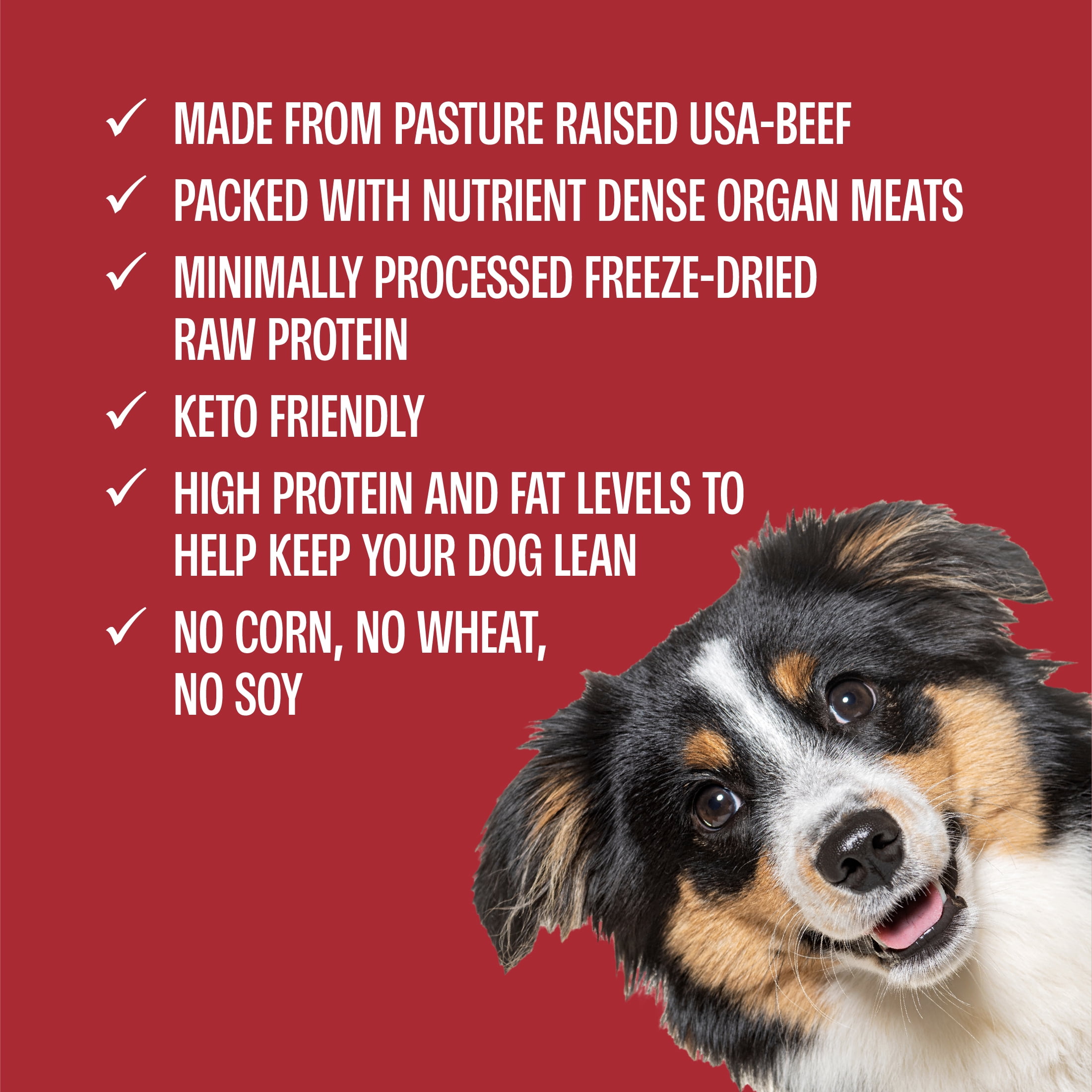 Muenster Beef Bites Freeze-Dried Dog Food, Training Treats, Food or Topper, All Life Stages, 20 oz Pouch