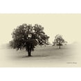 thumbnail image 3 of Van Swearingen, Debra 14x11 Black Modern Framed Museum Art Print Titled - Horses and Tress II, 3 of 5