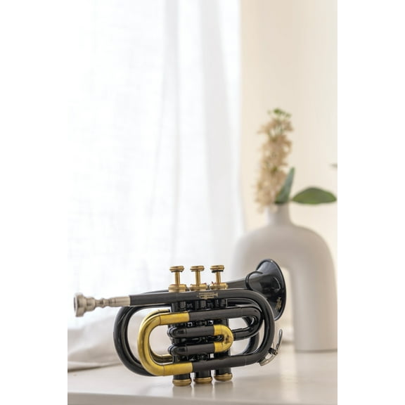 Bb Pocket Trumpet Compact Brass Musical Instrument with Bb 7C Mouthpiece & Hard Carrying Case Black Flat Trumpet Mini Trumpet Portable