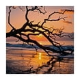 thumbnail image 4 of nygtbtfer Landscapes Sunset Night Scenery Fitted Table Cloth for Table Tablecloths for Rectangle Tables for Kitchen Dining Party 36*36, 4 of 8