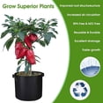 thumbnail image 4 of 10 Pack 7 Gallon Garden Bags Plant Grow Bags with Durable Handles for Garden Indoor Outdoor, 4 of 8