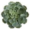 thumbnail image 2 of Nearly Natural 13" Giant Echeveria Succulent Pick Artificial Plant (Set of 2), Green, 2 of 2