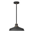 thumbnail image 1 of Hinkley 10483TK Outdoor Hanging Pendant 1-Light 16" LED Textured Black, 1 of 1