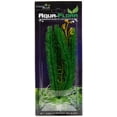 thumbnail image 2 of Aquaflora Plastic Plant 6" Club Moss, 2 of 3