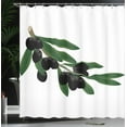 thumbnail image 3 of Ambesonne Olive Green Shower Curtain, Black Botanical Motifs, 69"Wx70"L, Charcoal Grey and Sepia, 3 of 4
