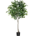 thumbnail image 6 of Artificial Ficus Silk Plants, 6FT Faux Plastic Ficus Tree in Pot with Durable Plastic Trunk, Fake Plant for Home Decor Office House Living Room Indoor Outdoor, 6 of 10