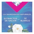 thumbnail image 4 of Protectores diarios Saba protección-v largos 18 pzas, 4 of 4