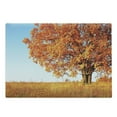 thumbnail image 1 of Fall Cutting Board, Lonely and Oak Tree Grass Bushes Field Serene Rural Scenery, Decorative Tempered Glass Cutting and Serving Board, Large Size, Orange Yellow Pale Blue, by Ambesonne, 1 of 1
