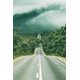 thumbnail image 3 of Fondo de fotografía de retrato para niños y adultos con carretera de Laeacco, camino sinuoso sin fin, paisaje natural, campo, árbol frondoso, 3 of 5