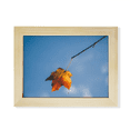 thumbnail image 1 of Arte Pintura de madera Unbranded Cielo naturaleza paisajes 6x8 pulgadas marco de foto, 1 of 4