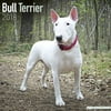 Bull Terrier Calendar 2018 - Dog Breed Calendar - Wall Calendar 2017-2018